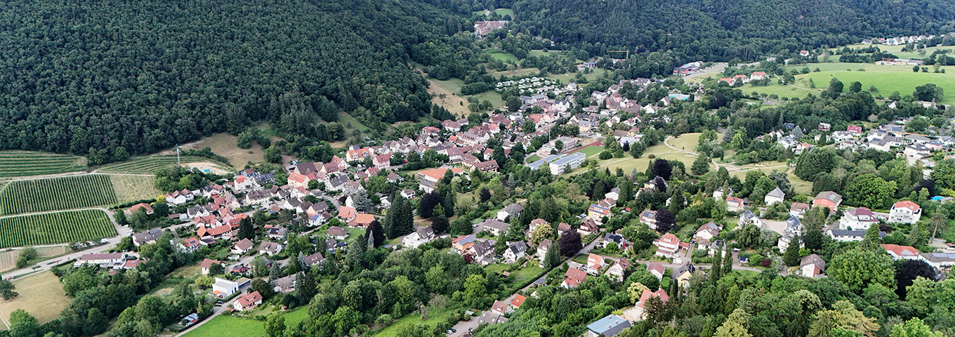 Luftbild von Oberweiler